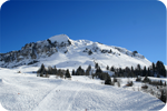 choice of holidays destination